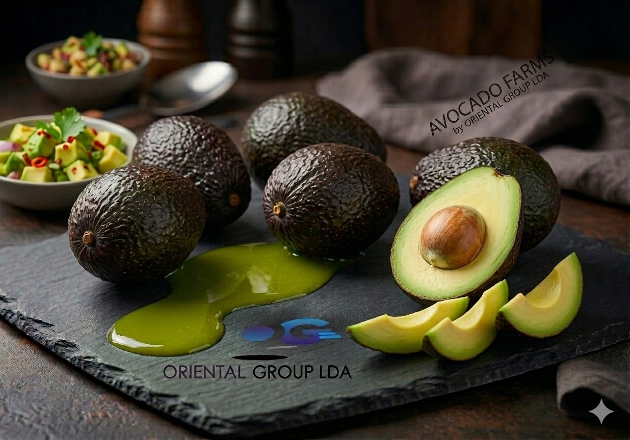 Avocado Farms