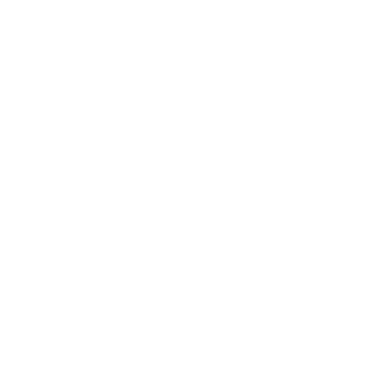 Oriiental Group Logo